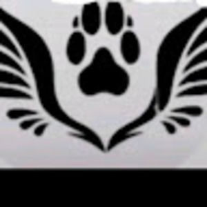 Meet your Posher, Cheyenne